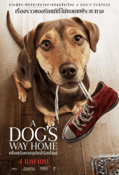 A Dogs Way Home (2019) เพื่อนรักผจญภัยสี่ร้อยไมล์