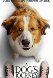 A Dogs Journey (2019) หมา เป้าหมาย และเด็กชายของผม 2