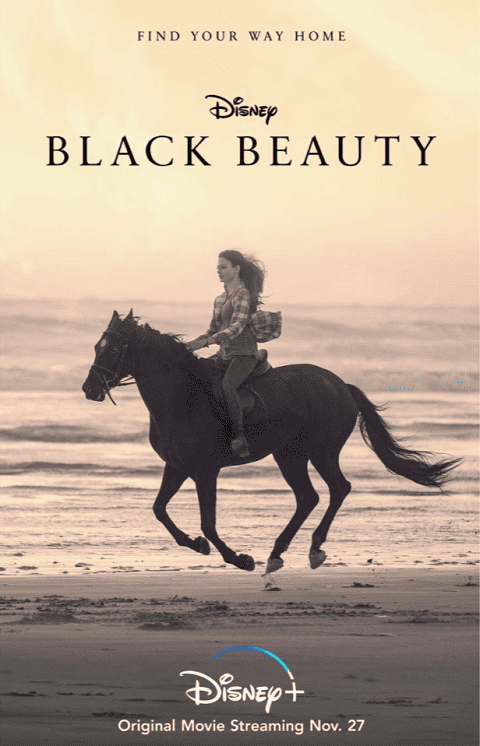 Black Beauty (2020) แบล็คบิวตี้