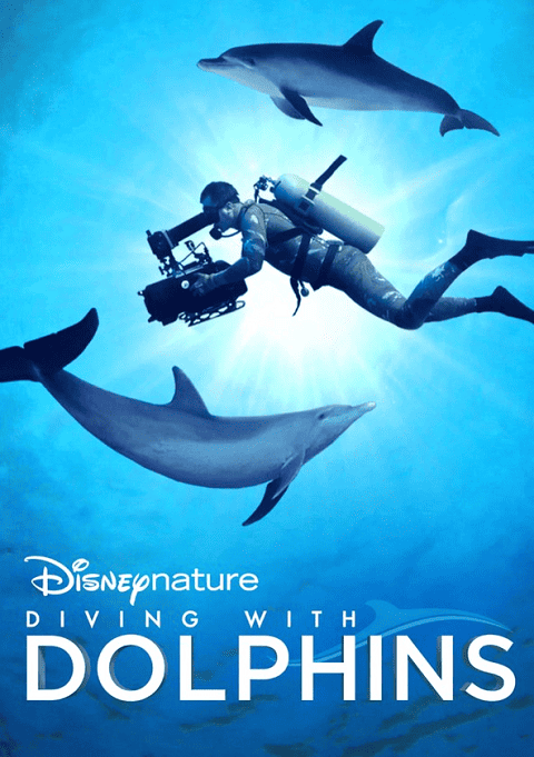 Diving with Dolphins (2020) ซับไทย