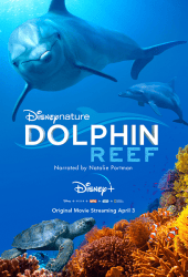 Dolphin Reef (2020)