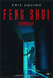 Feng Shui (2004)