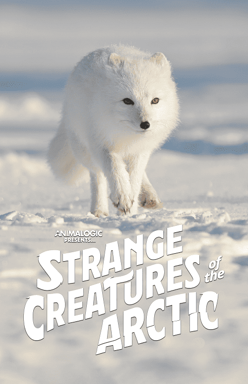 Strange Creatures of the Arctic (2022)