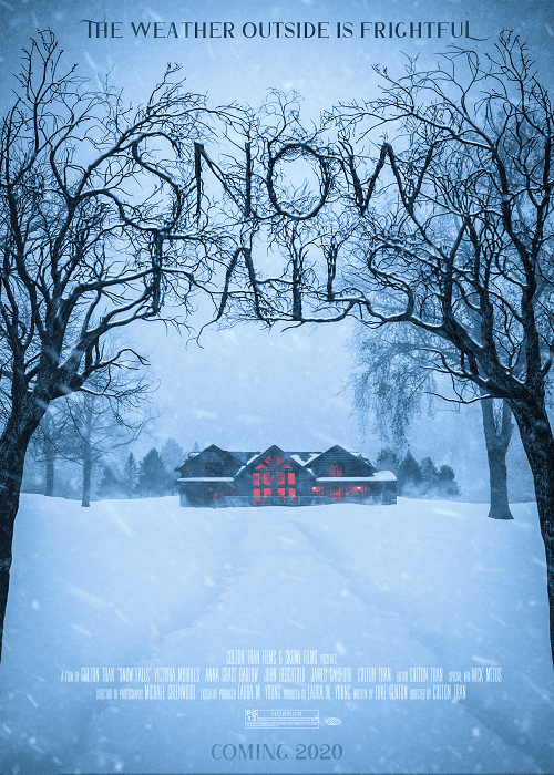 Snow Falls (2023)