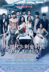 Tiny Times 3 (2014)