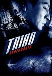 Triad Underworld (2004) กอหวู่ เฉือนคมโคตรเจ้าพ่อ