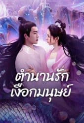 Mermaid (2024) ตำนานรักเงือกมนุษย์