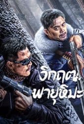 SnowStorm-2024-วิกฤตพายุหิมะ