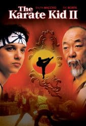 The Karate Kid Part 2 (1986) คาราเต้ คิด 2