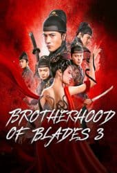 Brotherhood Of Blades 3 (2024) มังกรพยัคฆ์ ล่าสะท้านยุทธภพ 3