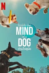 Inside-the-Mind-of-a-Dog-2024-อ่านใจสุนัข