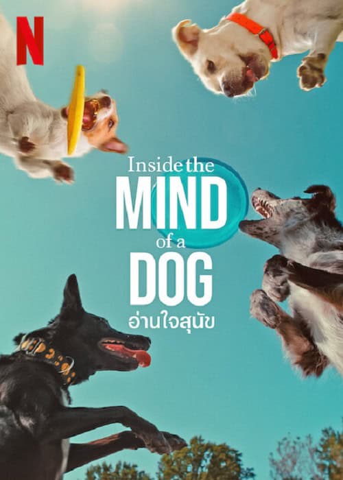 Inside the Mind of a Dog (2024) อ่านใจสุนัข